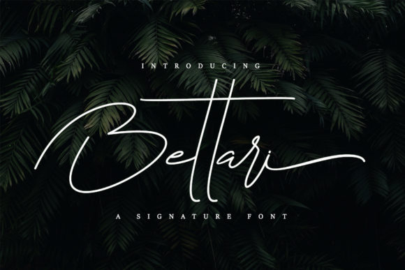 Bettari: The Signature Script Font for a Personal Touch