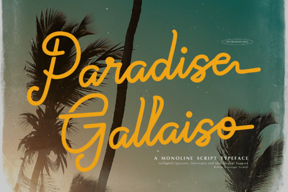 Paradise Gallaiso: Capturing Summer in Every Letter